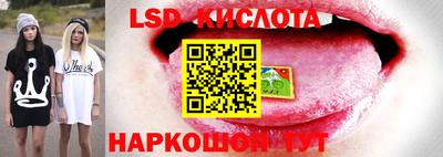 ПСИЛОЦИБИНОВЫЕ ГРИБЫ Моздок