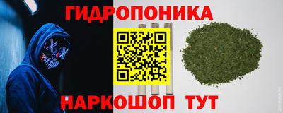 ПСИЛОЦИБИНОВЫЕ ГРИБЫ Моздок