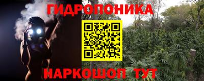 ПСИЛОЦИБИНОВЫЕ ГРИБЫ Моздок